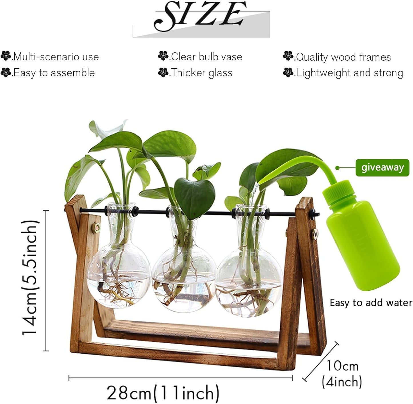FLOWER Plant Terrarium with Wooden Stand