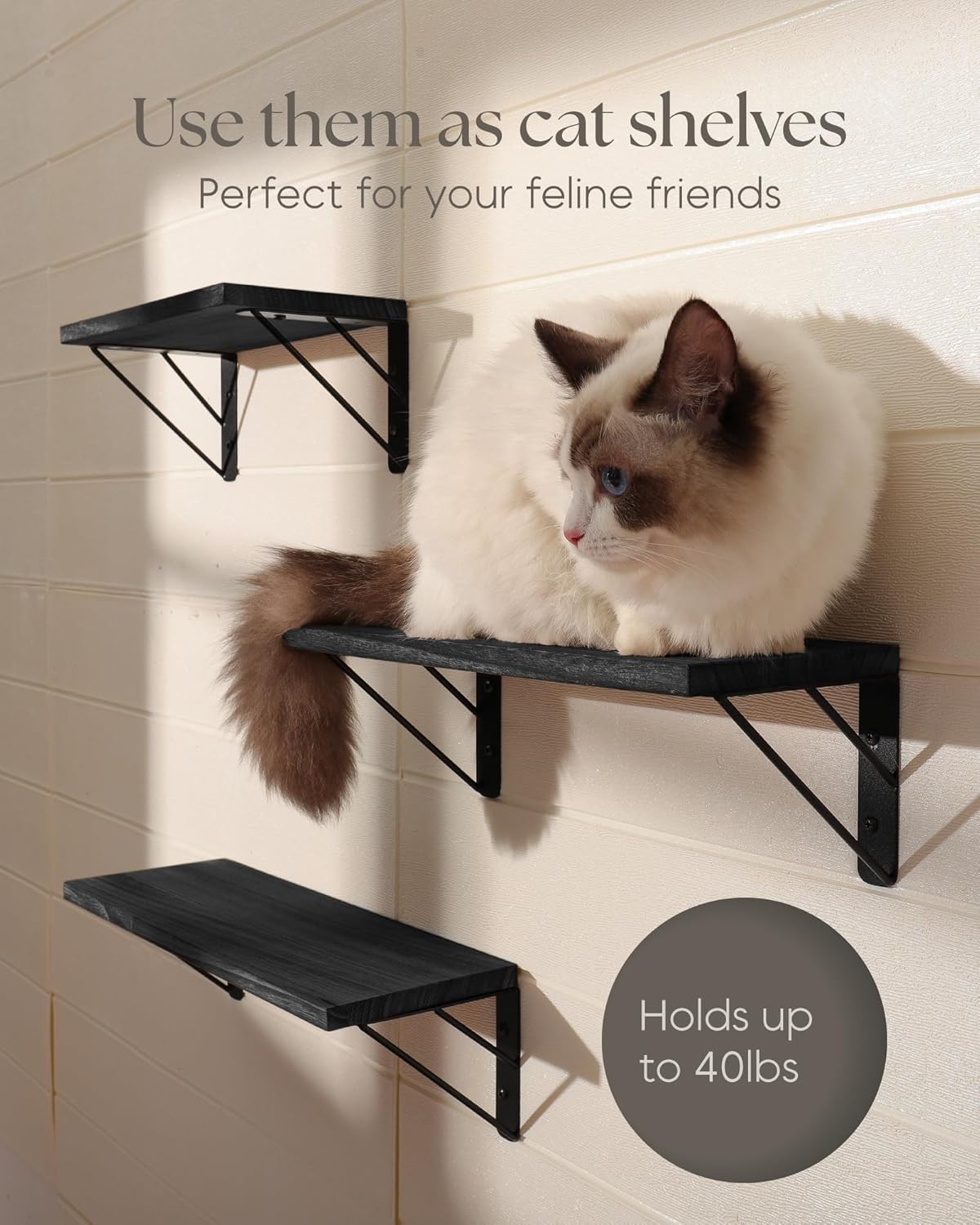 Floating Shelves